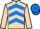 Jockey Silk colours