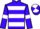 Jockey Silk colours