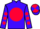 Jockey Silk colours