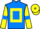 Jockey Silk colours