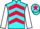 Jockey Silk colours
