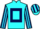 Jockey Silk colours