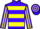 Jockey Silk colours