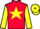 Jockey Silk colours