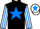 Jockey Silk colours