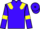 Jockey Silk colours