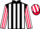 Jockey Silk colours