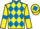 Jockey Silk colours
