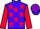 Jockey Silk colours