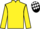Jockey Silk colours