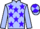 Jockey Silk colours
