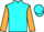 Jockey Silk colours