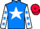 Jockey Silk colours