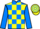 Jockey Silk colours