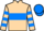 Jockey Silk colours