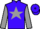 Jockey Silk colours