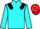 Jockey Silk colours
