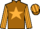 Jockey Silk colours