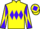 Jockey Silk colours