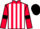 Jockey Silk colours
