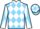 Jockey Silk colours