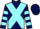 Jockey Silk colours