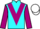 Jockey Silk colours