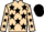 Jockey Silk colours