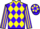 Jockey Silk colours