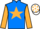 Jockey Silk colours