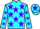 Jockey Silk colours