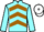 Jockey Silk colours