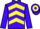 Jockey Silk colours