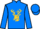 Jockey Silk colours