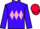 Jockey Silk colours