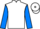 Jockey Silk colours