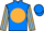 Jockey Silk colours