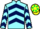 Jockey Silk colours