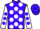Jockey Silk colours