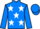 Jockey Silk colours