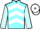 Jockey Silk colours