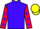 Jockey Silk colours