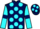 Jockey Silk colours