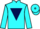 Jockey Silk colours