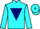 Jockey Silk colours