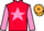 Jockey Silk colours