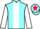 Jockey Silk colours