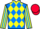 Jockey Silk colours