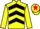 Jockey Silk colours