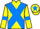 Jockey Silk colours